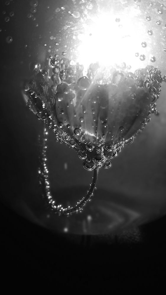 Photograph by Ольга Рыкова