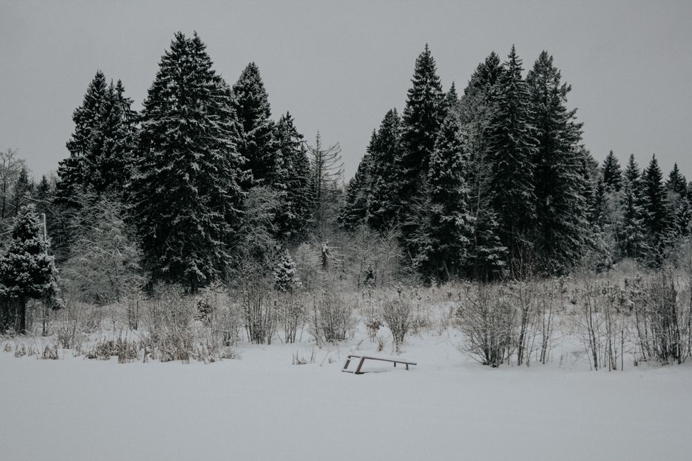 Photograph by Александра