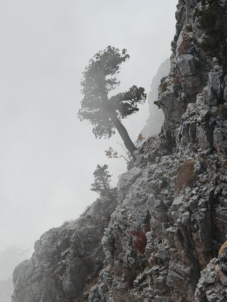 Фотография автора Юлия Есина