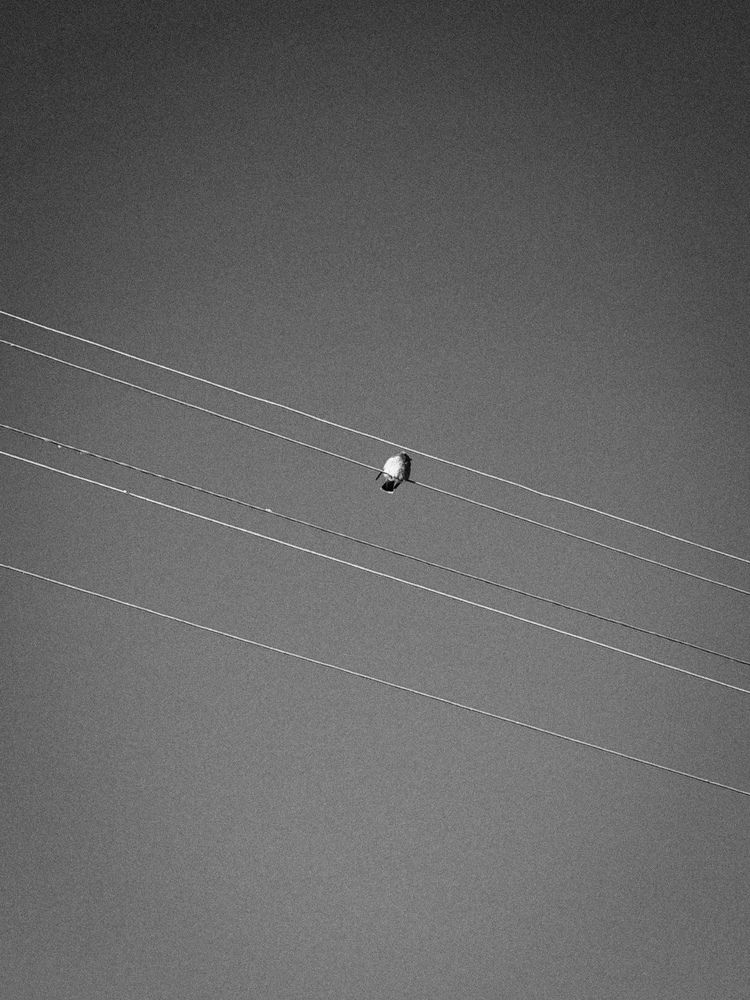 Photograph by Ирина Герлин