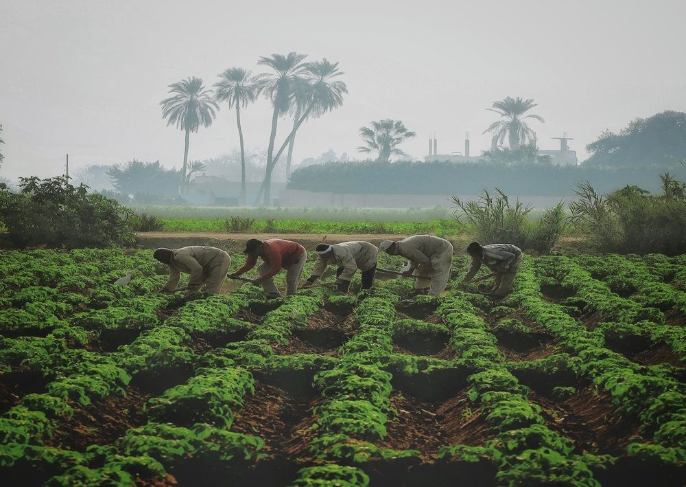 Photograph by Marwa Mostafa