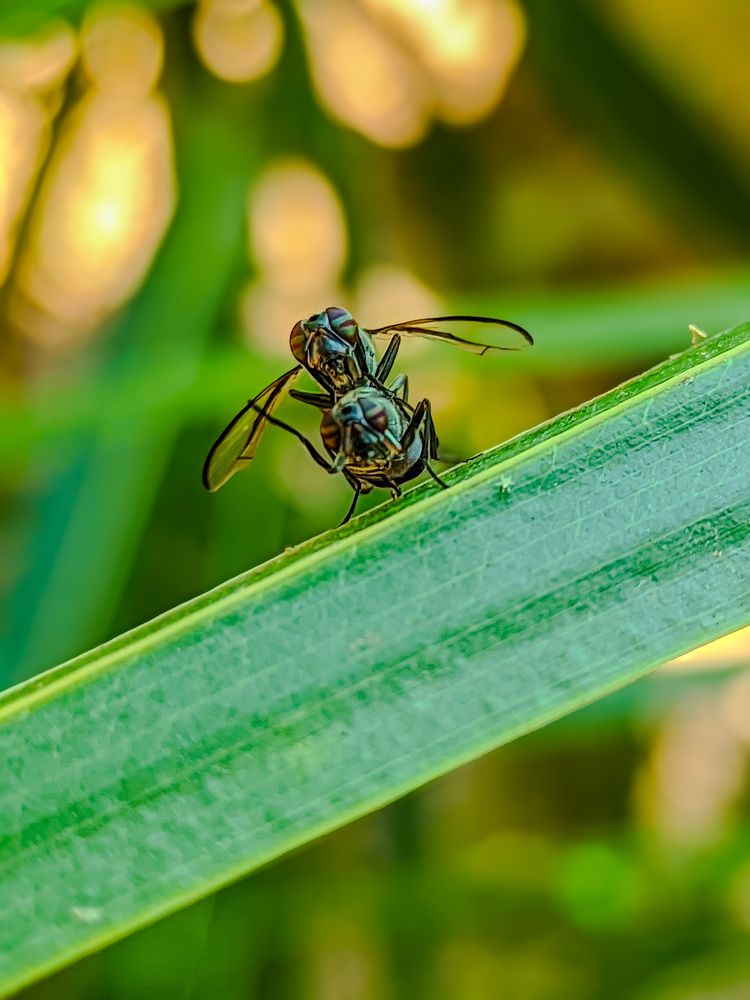 Photograph by Ameen Ahmed L