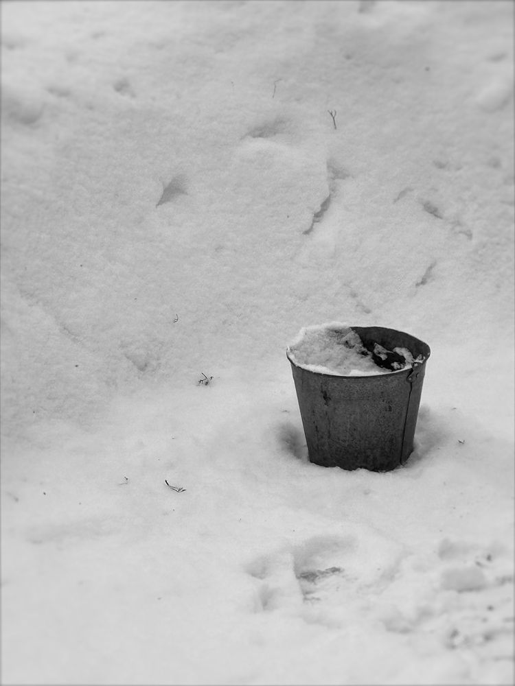 Photograph by Анастасия Щербакова