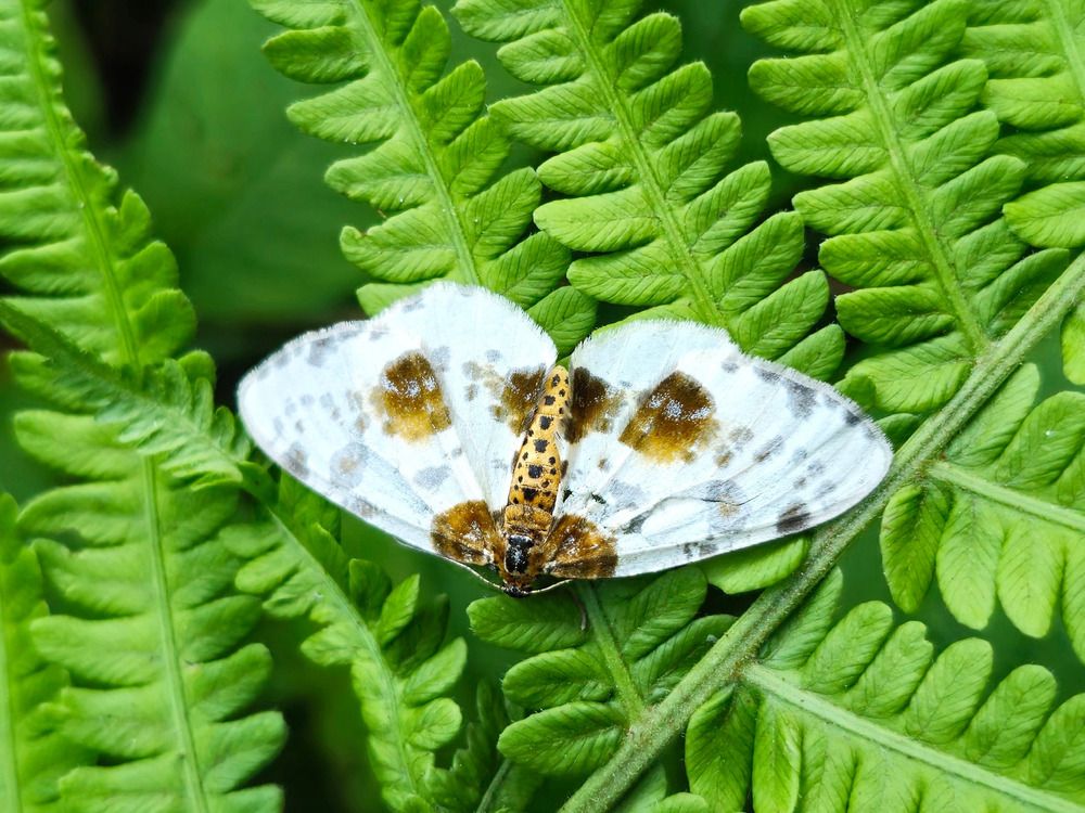 Photograph by Алина Эбель