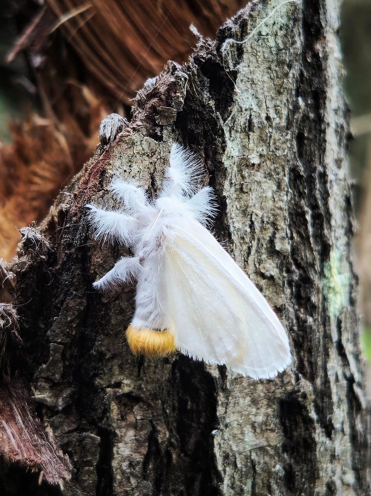 Photograph by Алина Эбель