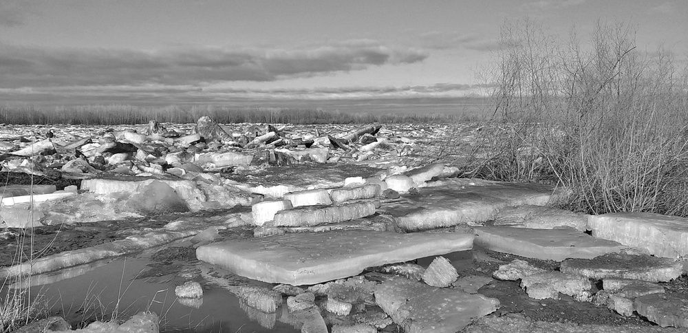 Photograph by Карпенко Александр