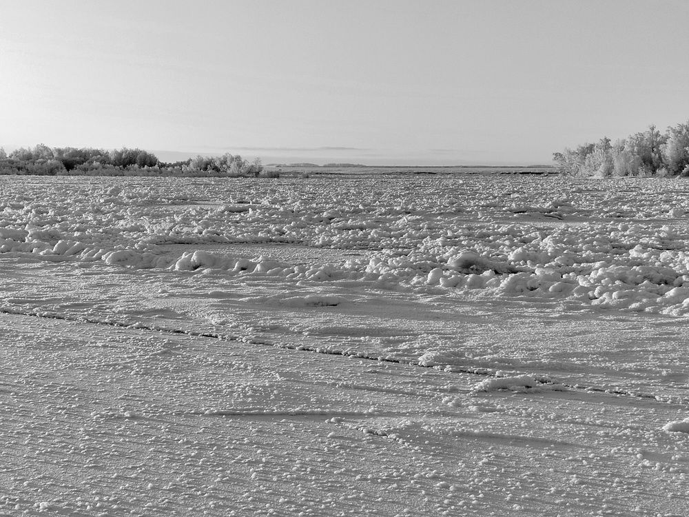 Photograph by Карпенко Александр