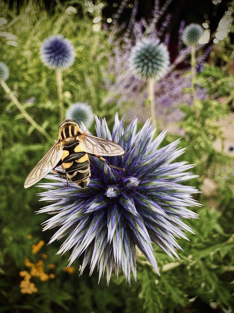 Photograph by Ксения Юртаева