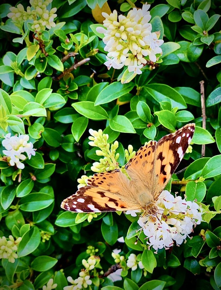 Photograph by Ксения Юртаева