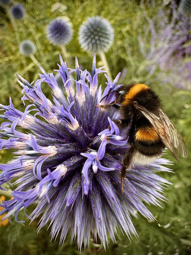 Photograph by Ксения Юртаева