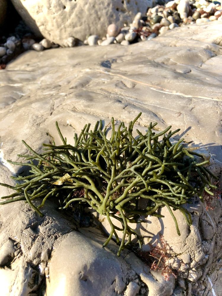 Photograph by Валерия Шишлова