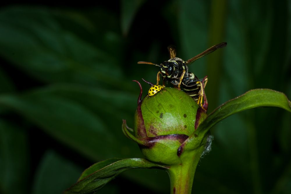 Photograph by Николай Захаров