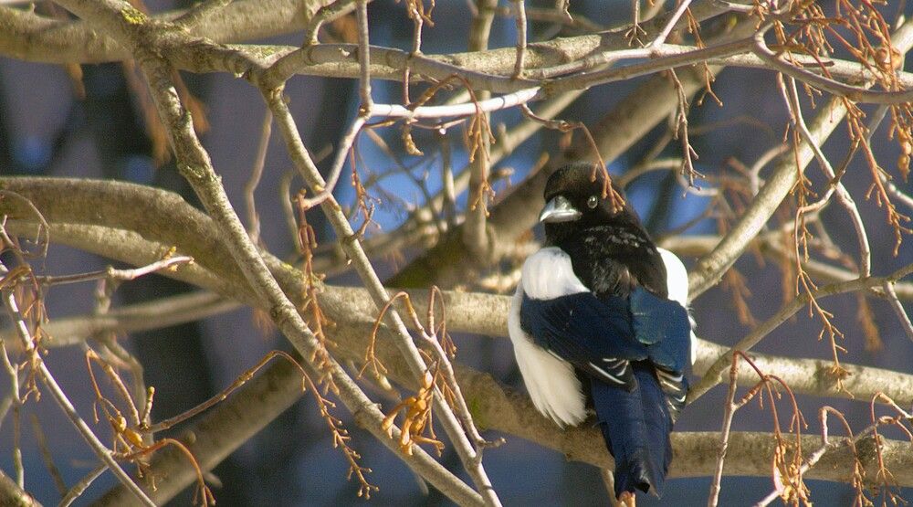 Photograph by Дмитрий