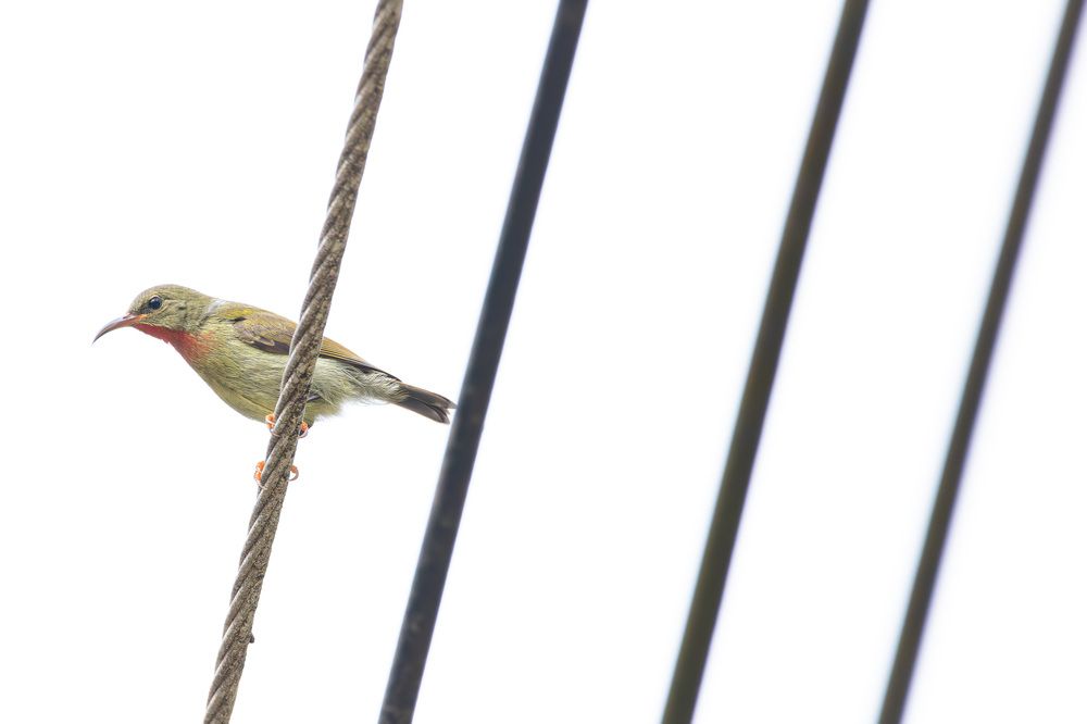 Photograph by Alexei Kriptozoy