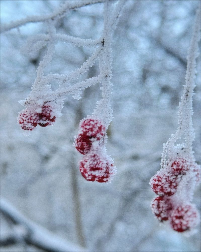 Photograph by Анастасия Щербакова
