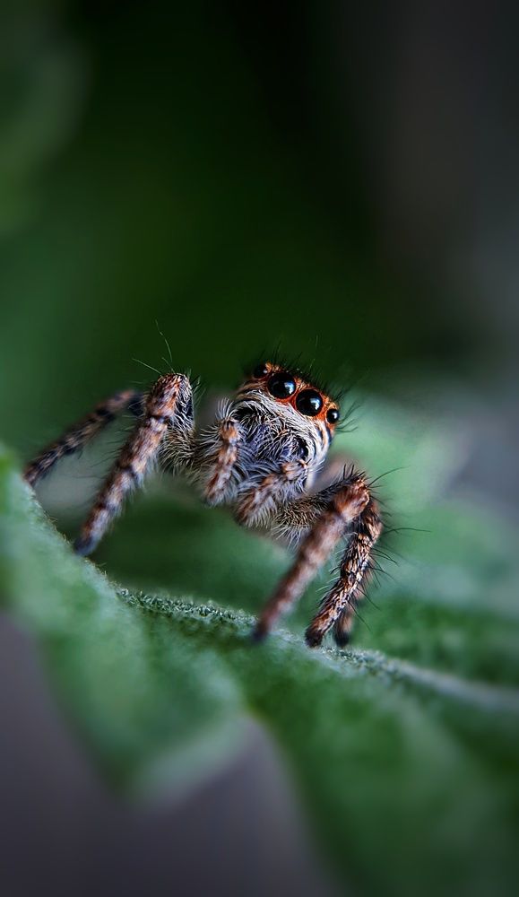 Photograph by Ольга Веселова