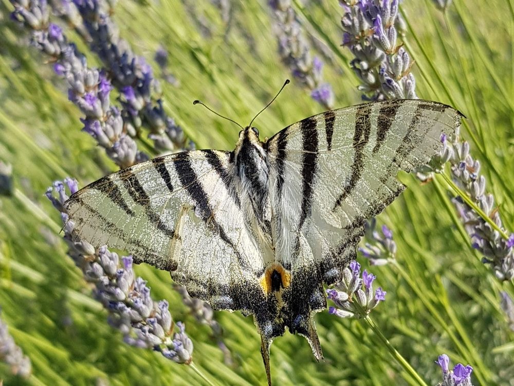 Photograph by Вадим Богатиков