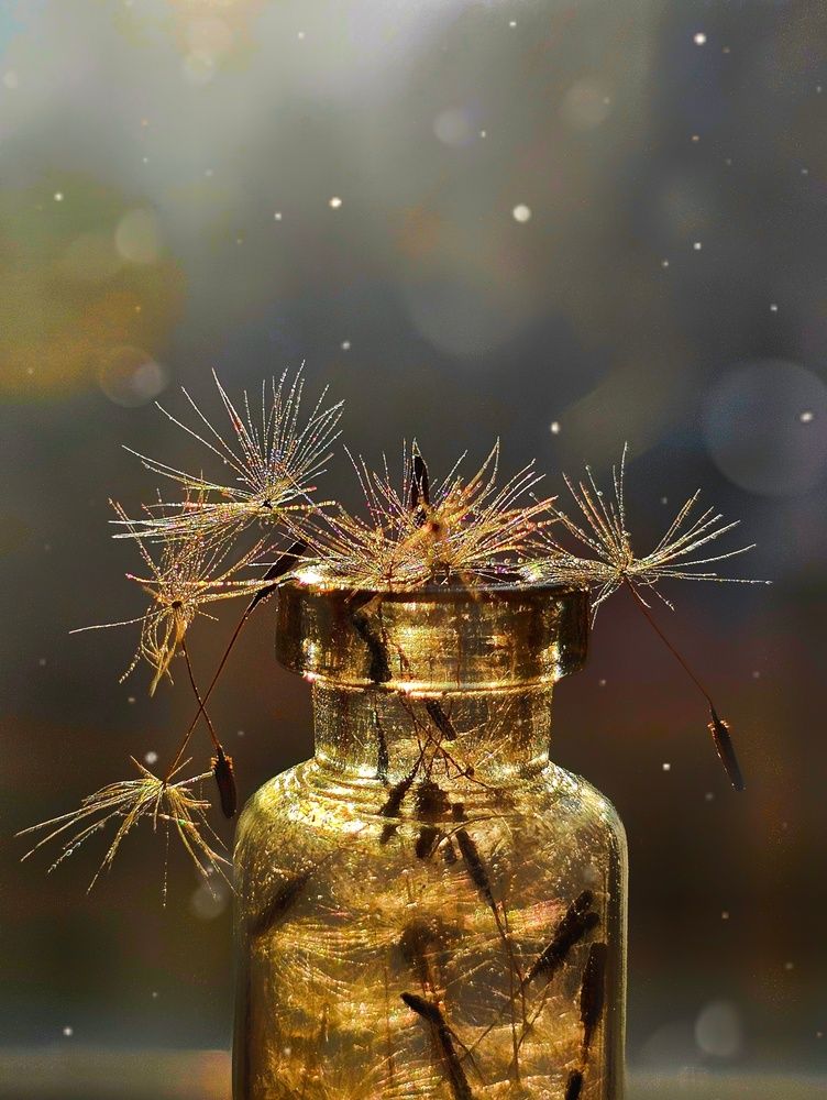 Photograph by Ольга Веселова