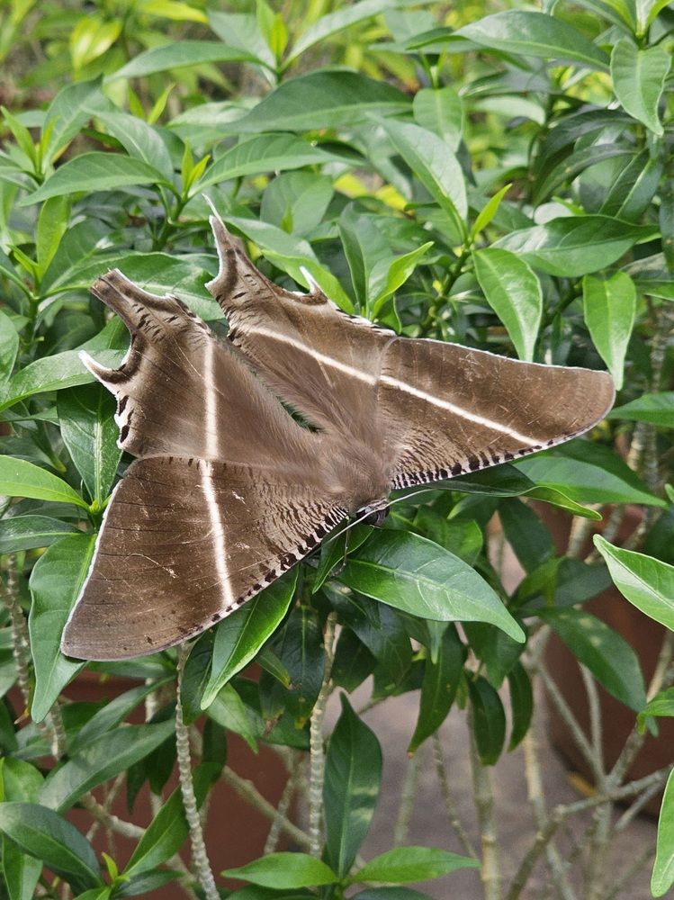 Photograph by Вадим Богатиков