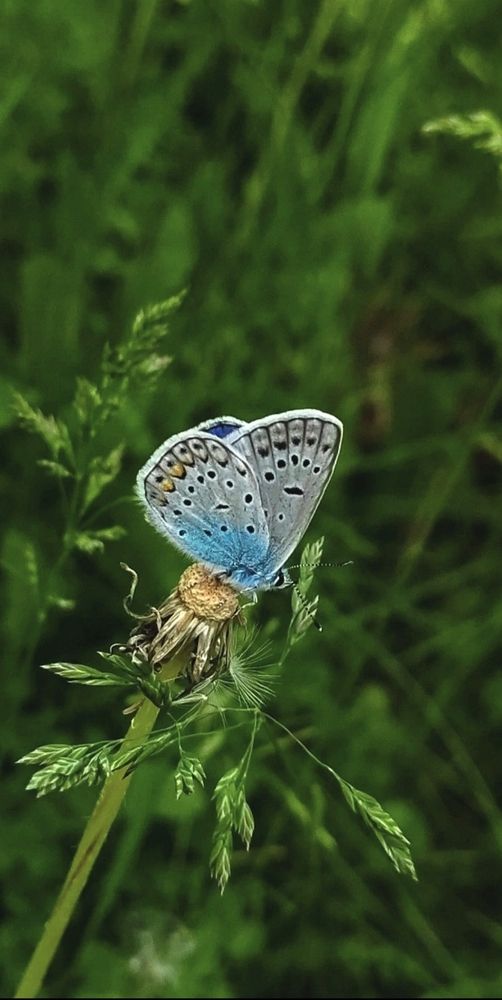 Photograph by ТАТЬЯНА ПАНОВА