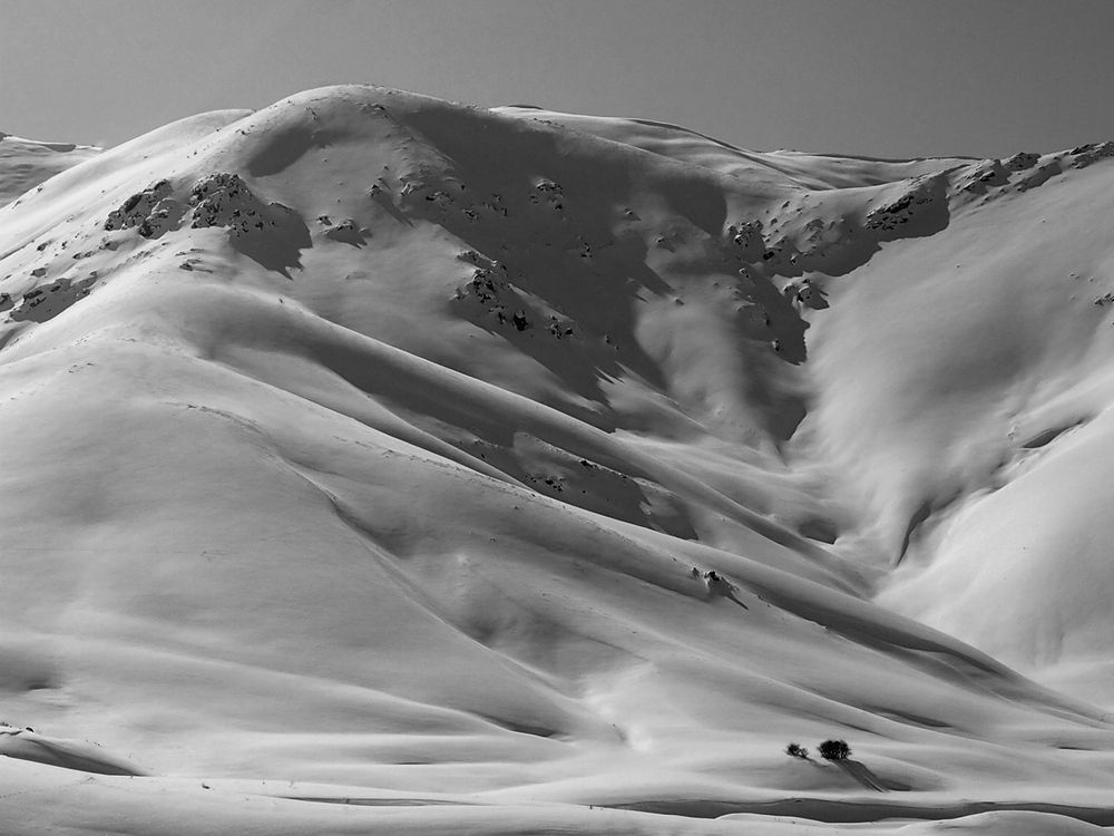 Photograph by Farid Ataei