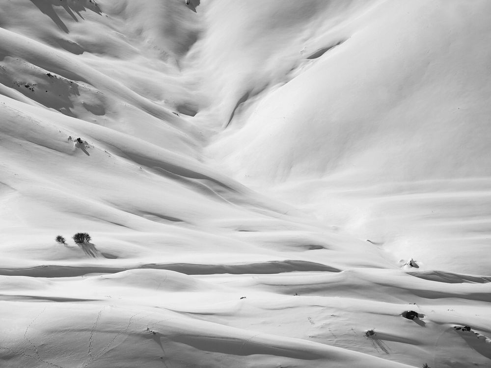 Photograph by Farid Ataei