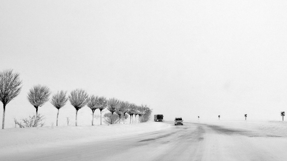 Photograph by Javad Tafti Farashah