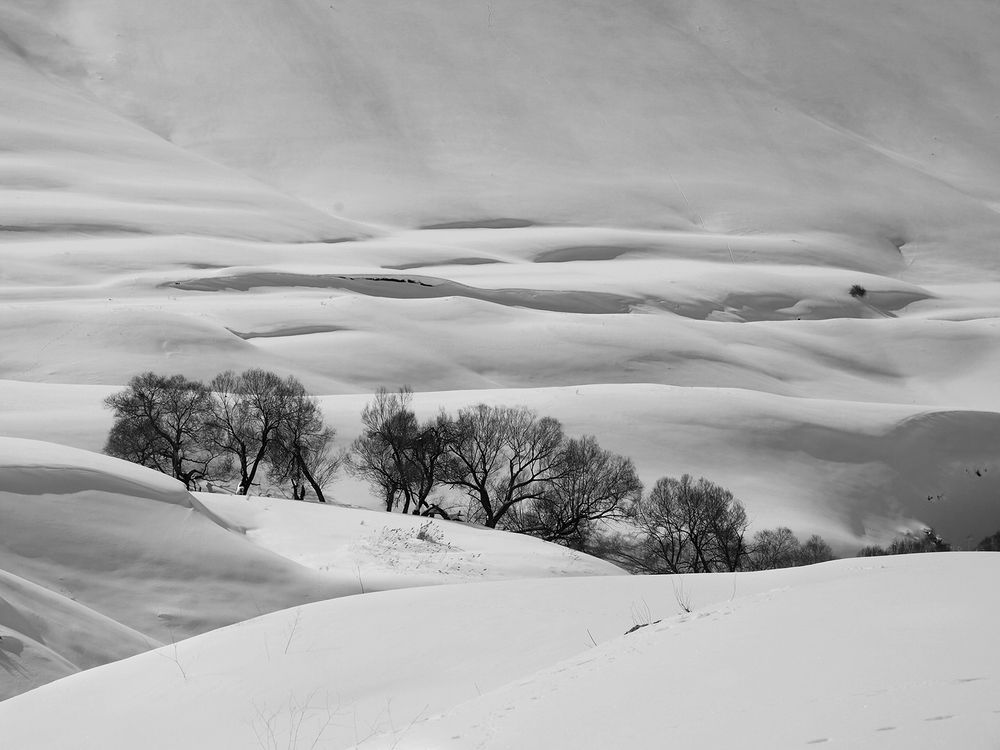 Photograph by Farid Ataei