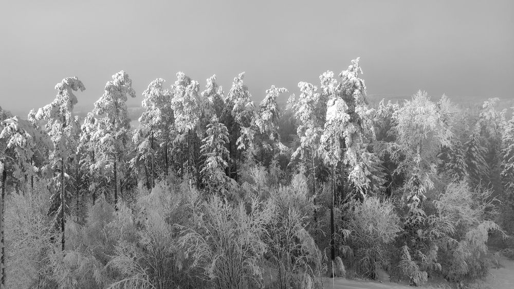 Photograph by Наталья Лобанова