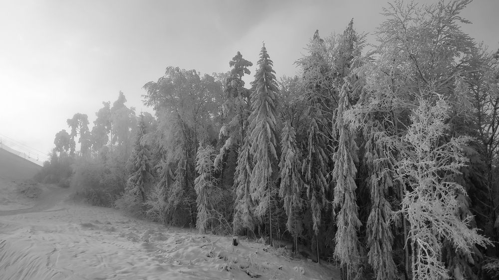 Photograph by Наталья Лобанова