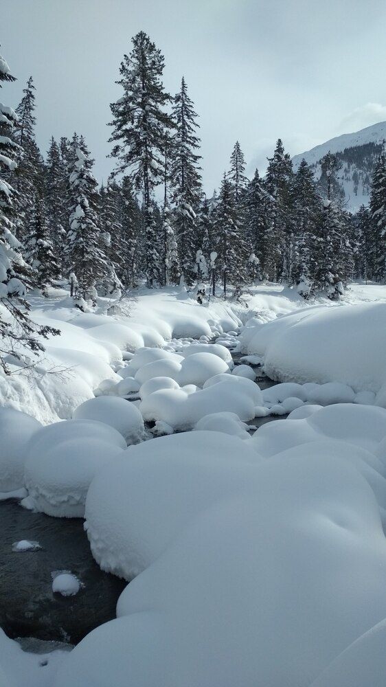 Photo #11884877