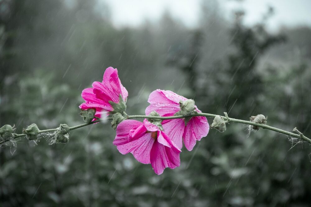 Photograph by Victor Pruhnitskiiy