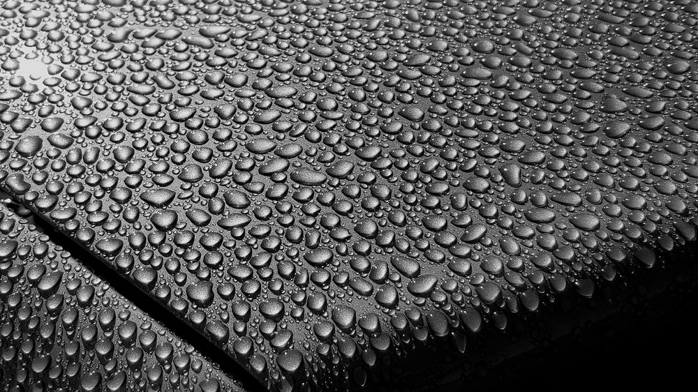 Геометрия природы