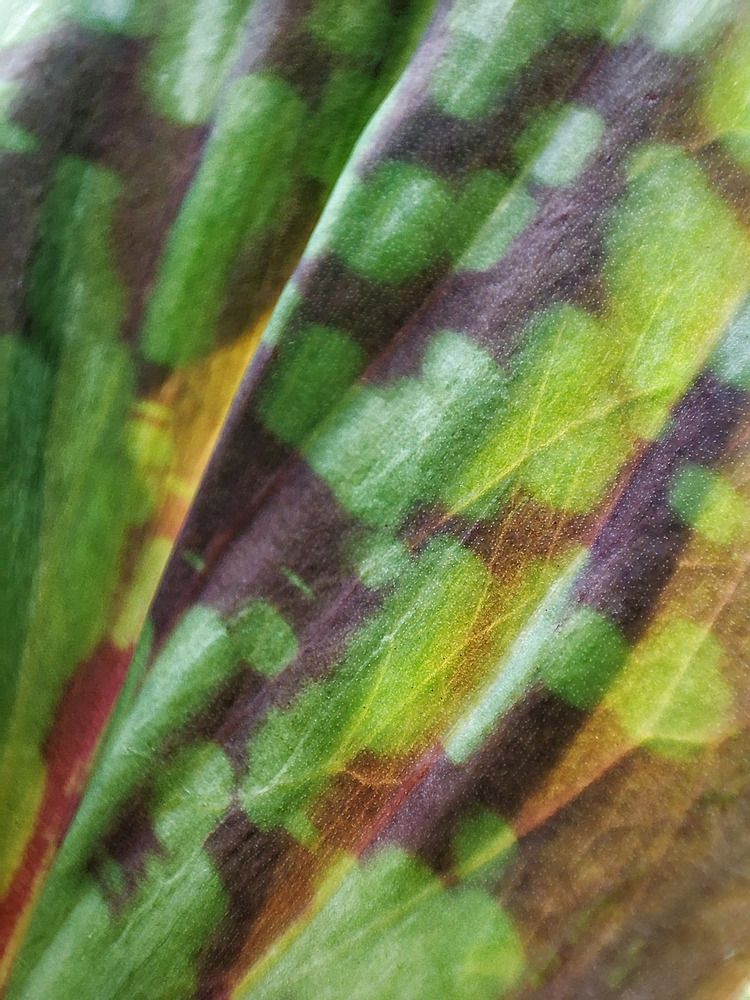 Photograph by Алина Эбель