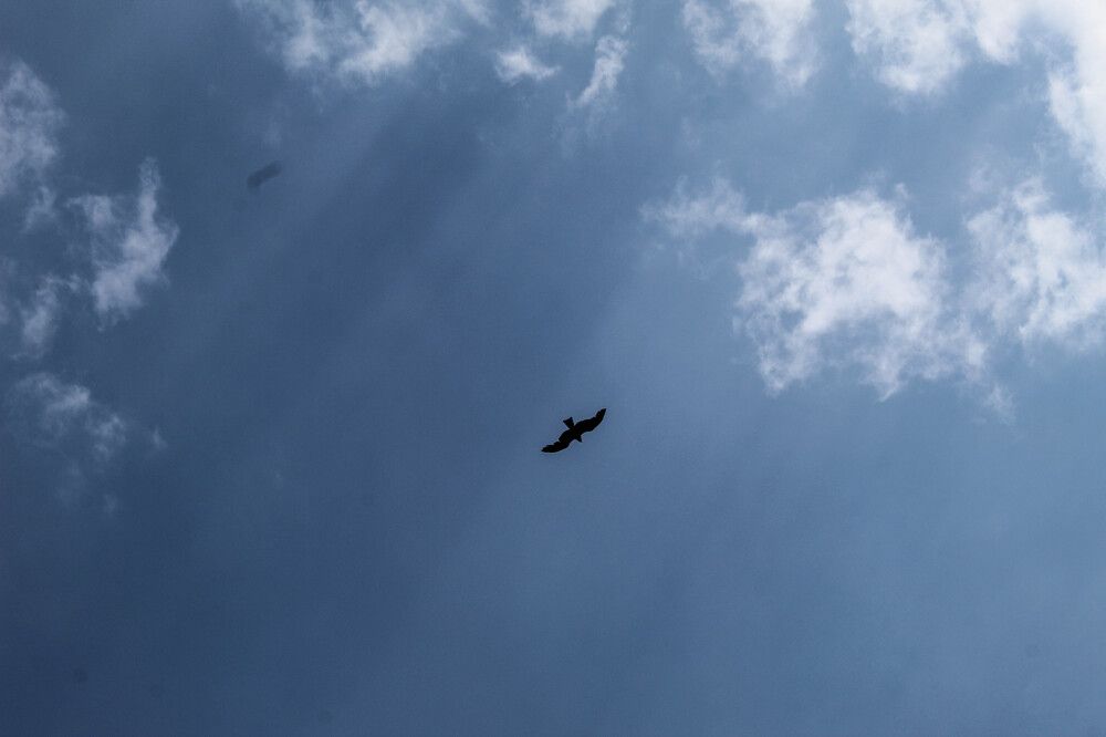 Фотография автора Екатерина Маркелова