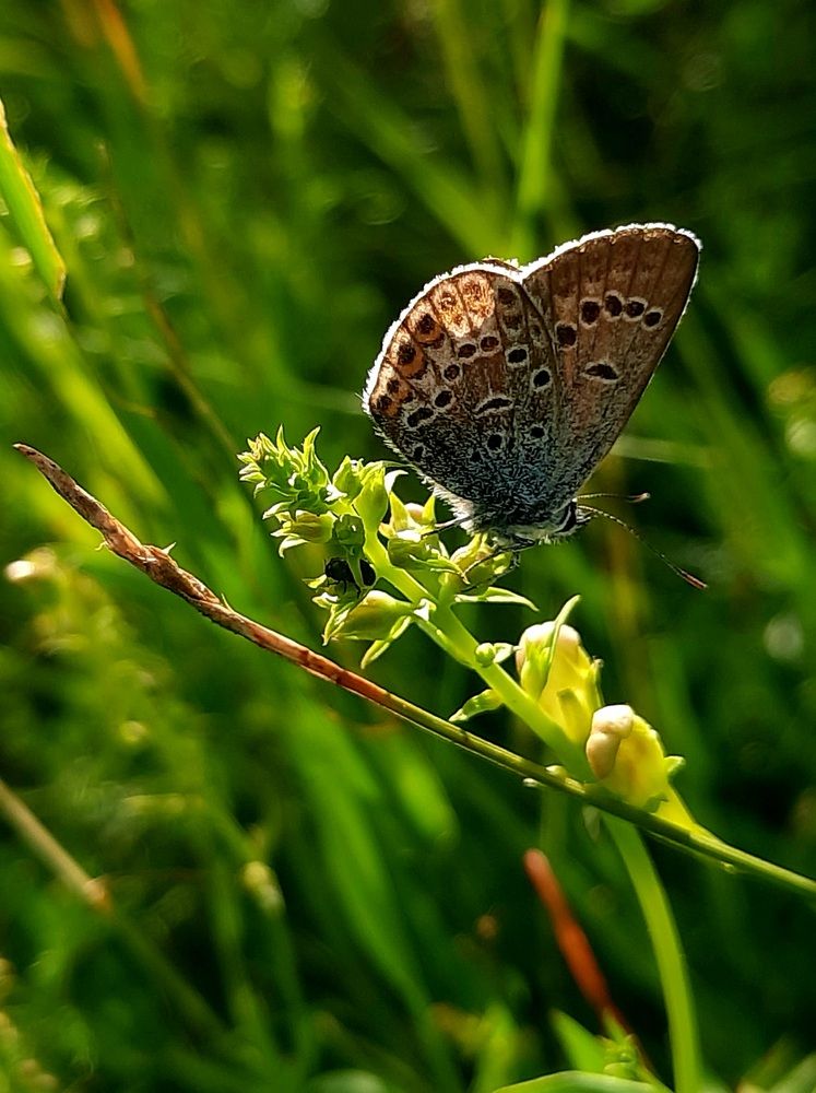 Photograph by Ирина Петракович