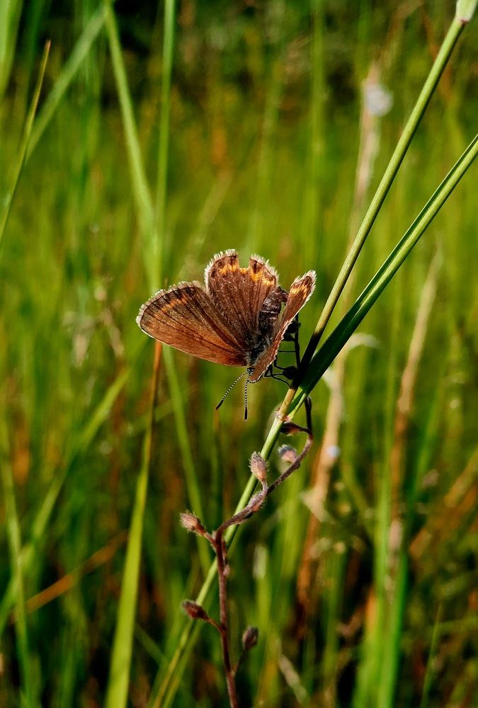 Photograph by Ирина Петракович