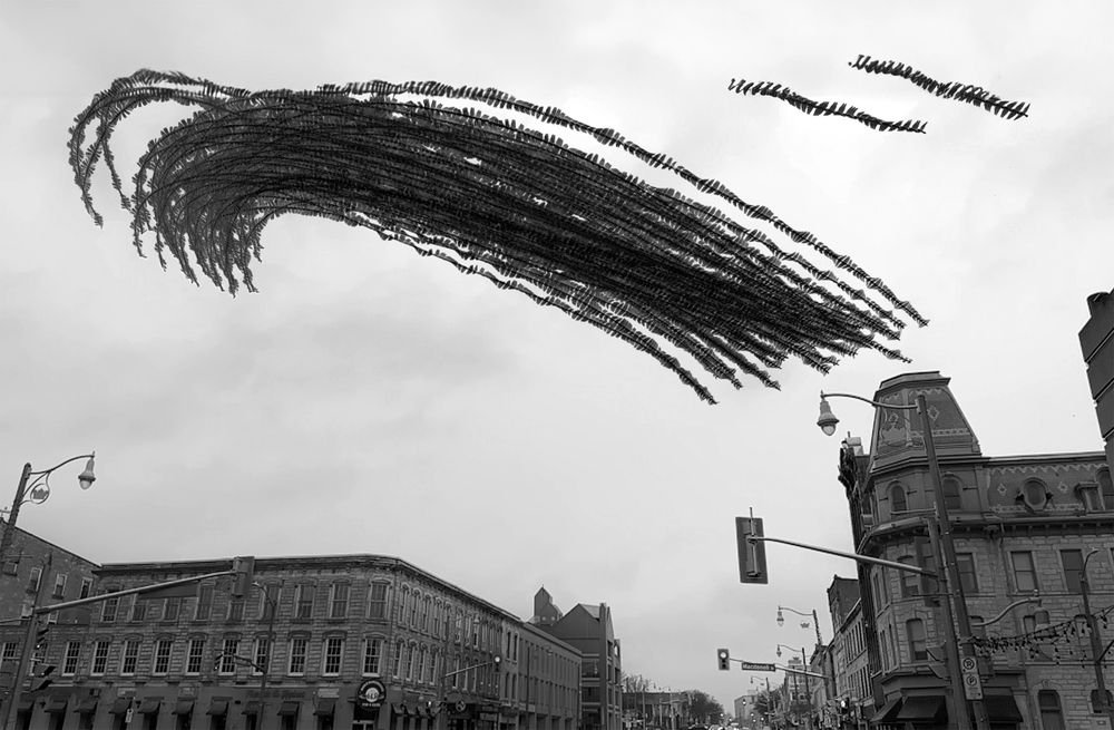 Wings Over Concrete: Urban Birds' Interlaced Flight Through City Streets