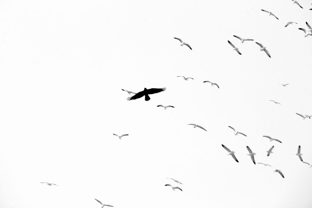 Photograph by Javad Tafti Farashah