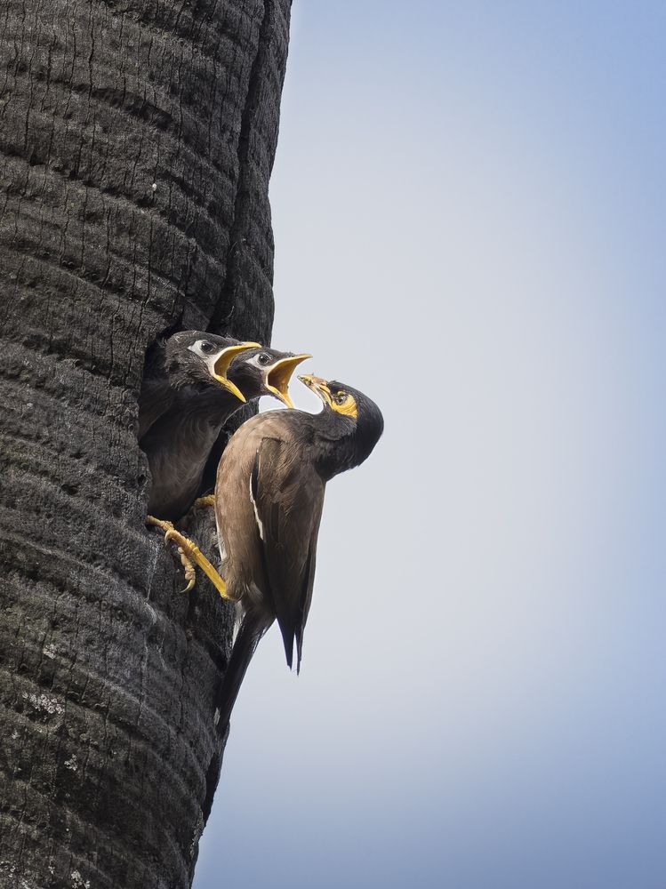 Nurturing the Next Generation