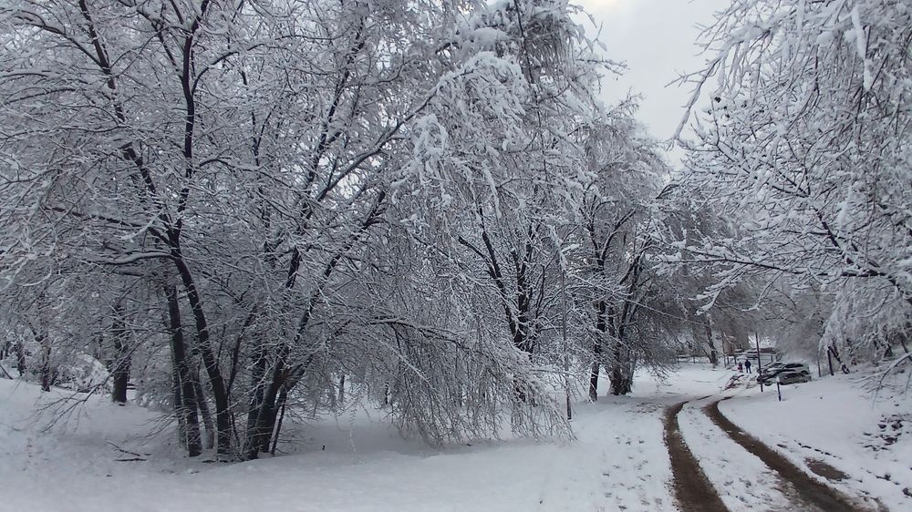 Photograph by Елена Кузнецова