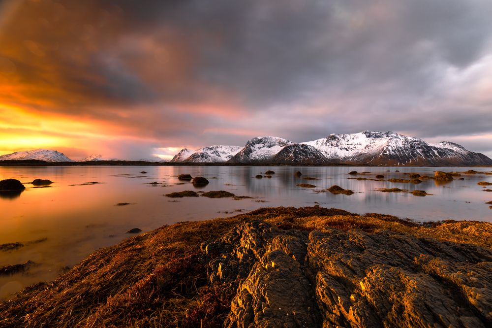 Photograph by Евгения Чех