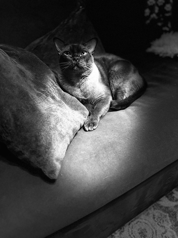 Photograph by Юлия Давшан