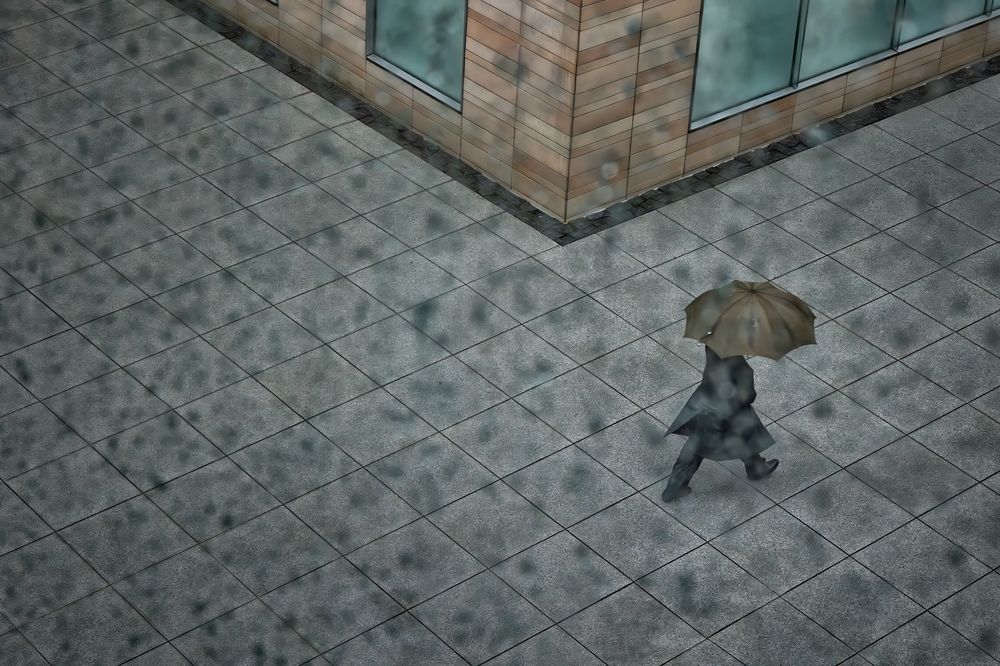 Фотография автора MINAGAWA TOMOHIKO