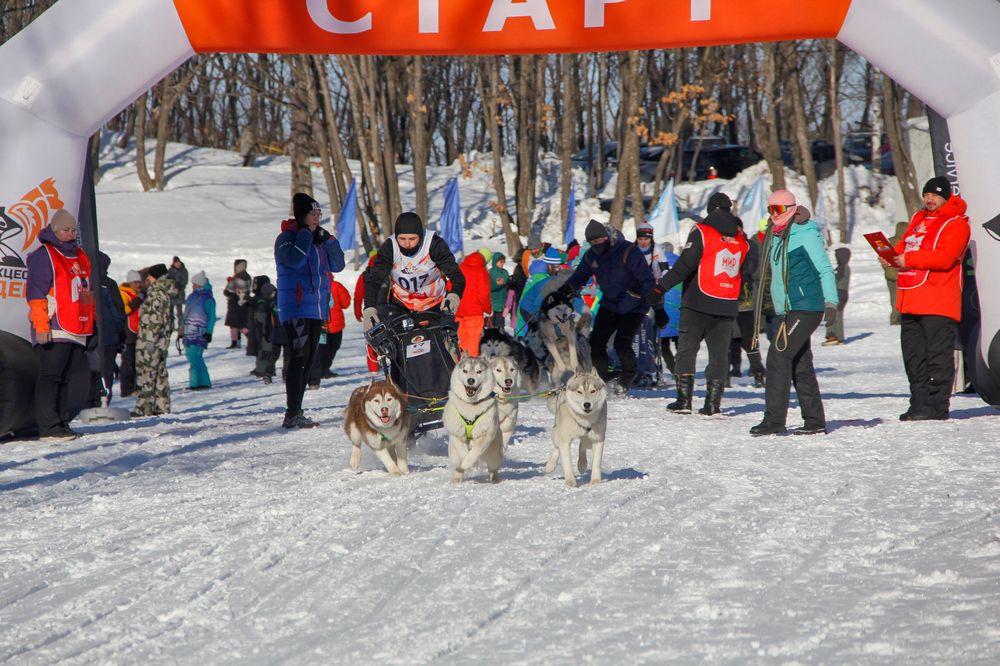 Фотография автора Наталия Мащенко