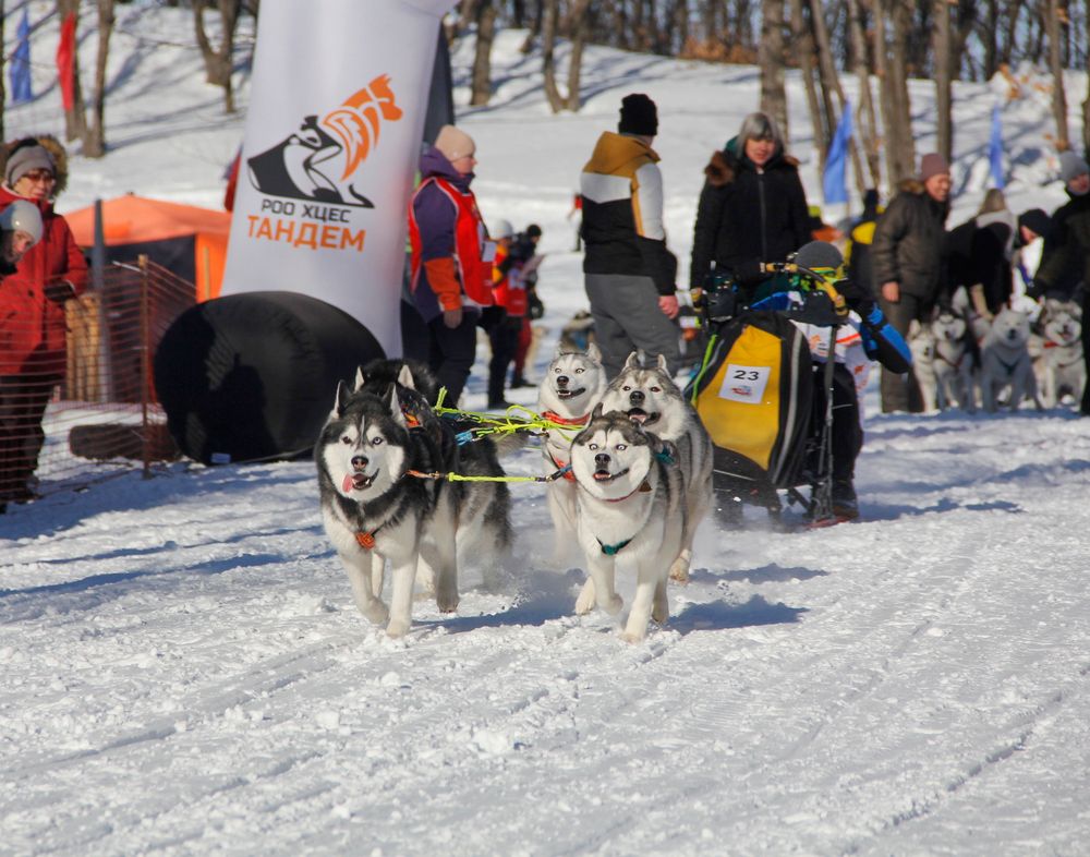 Фотография автора Наталия Мащенко