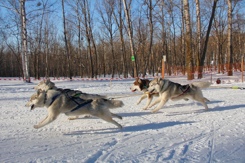 Фотография автора Наталия Мащенко