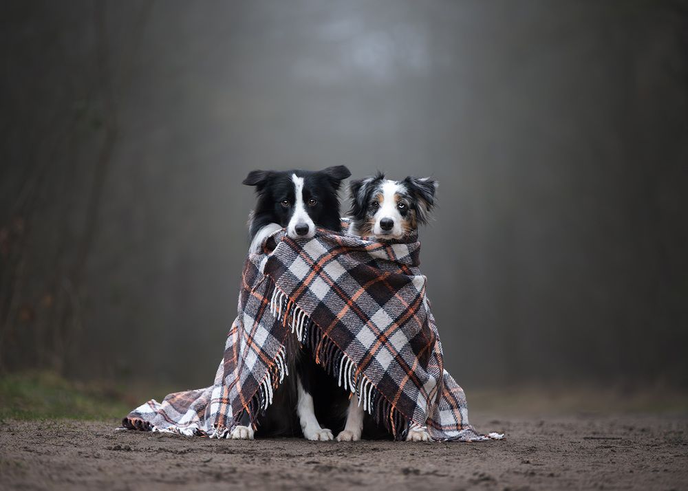 Photograph by Jolanda Boelhouwers Diederik