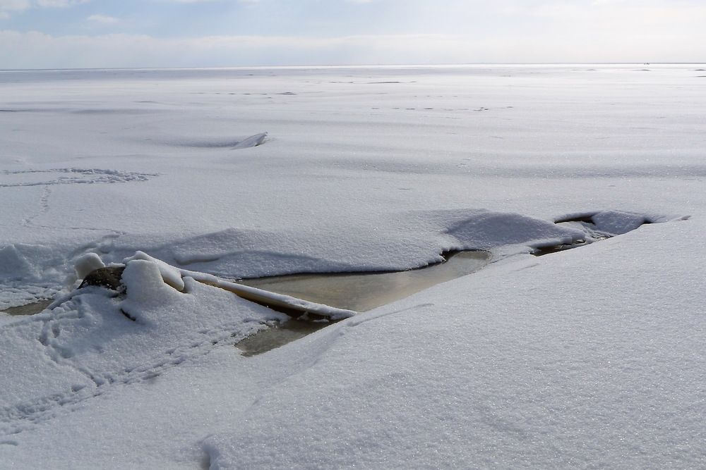 Photograph by Харис Шахмаметьев