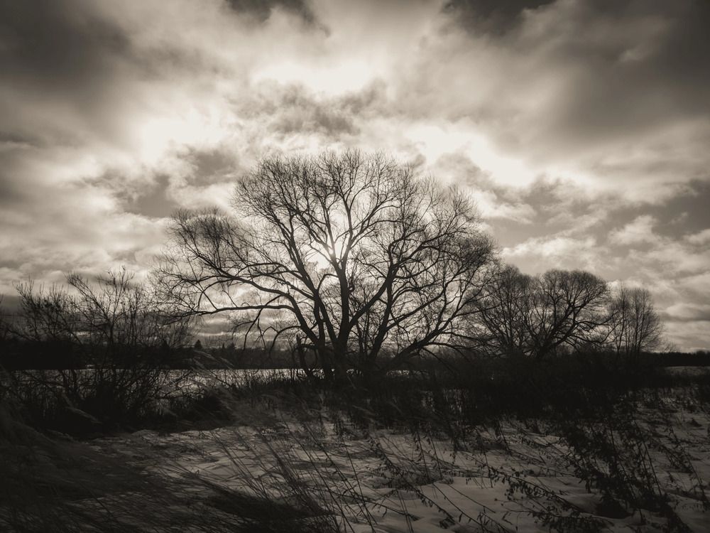 Photograph by Кирилл Сидоров